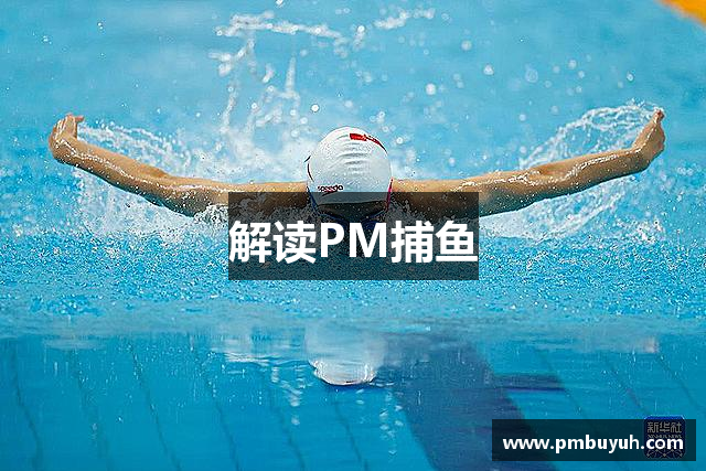 解读PM捕鱼